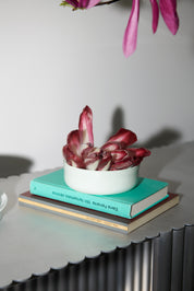 S&B - Colour Porcelain Bowl