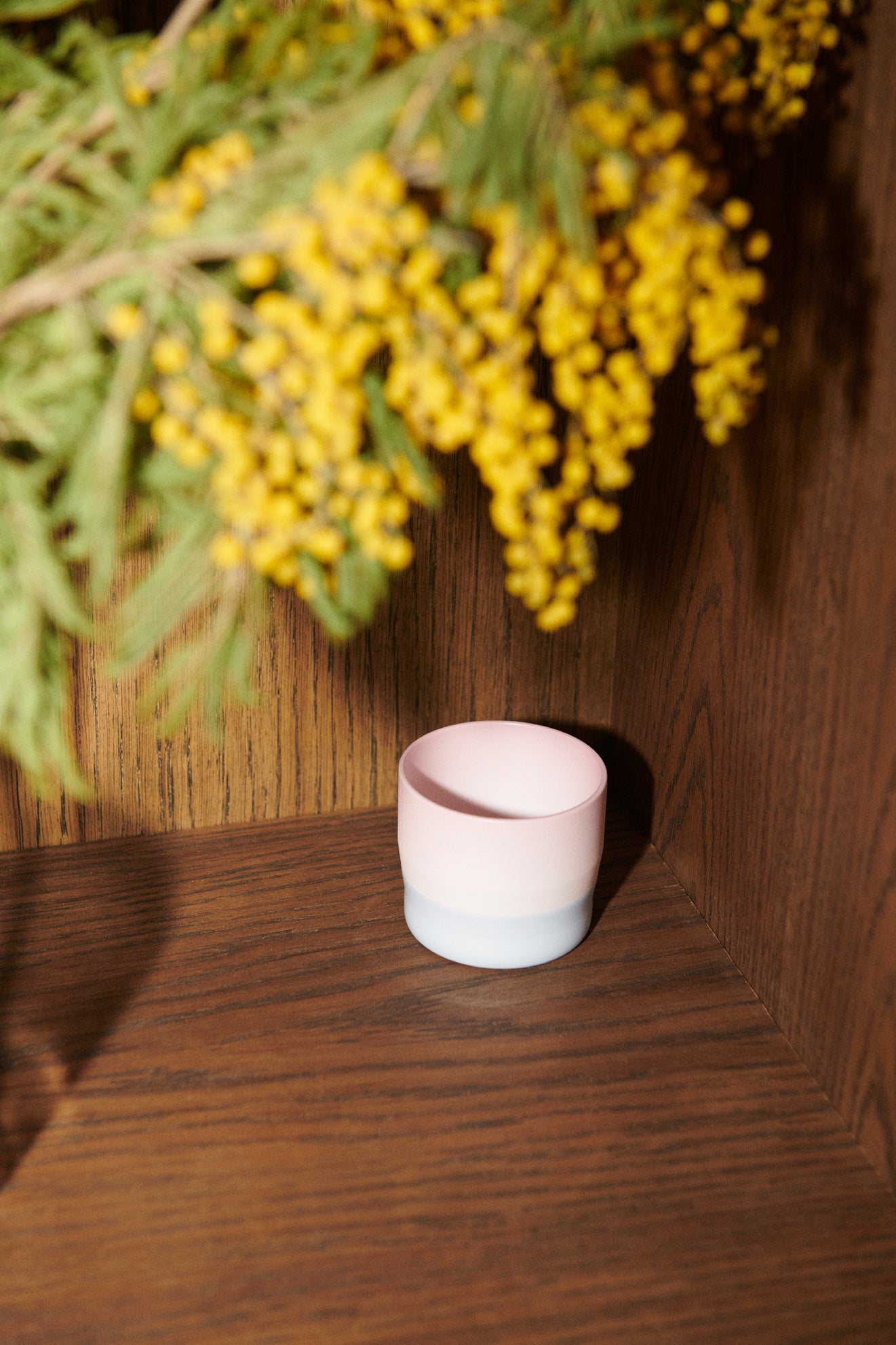 S&B - Colour Porcelain Tea Cup