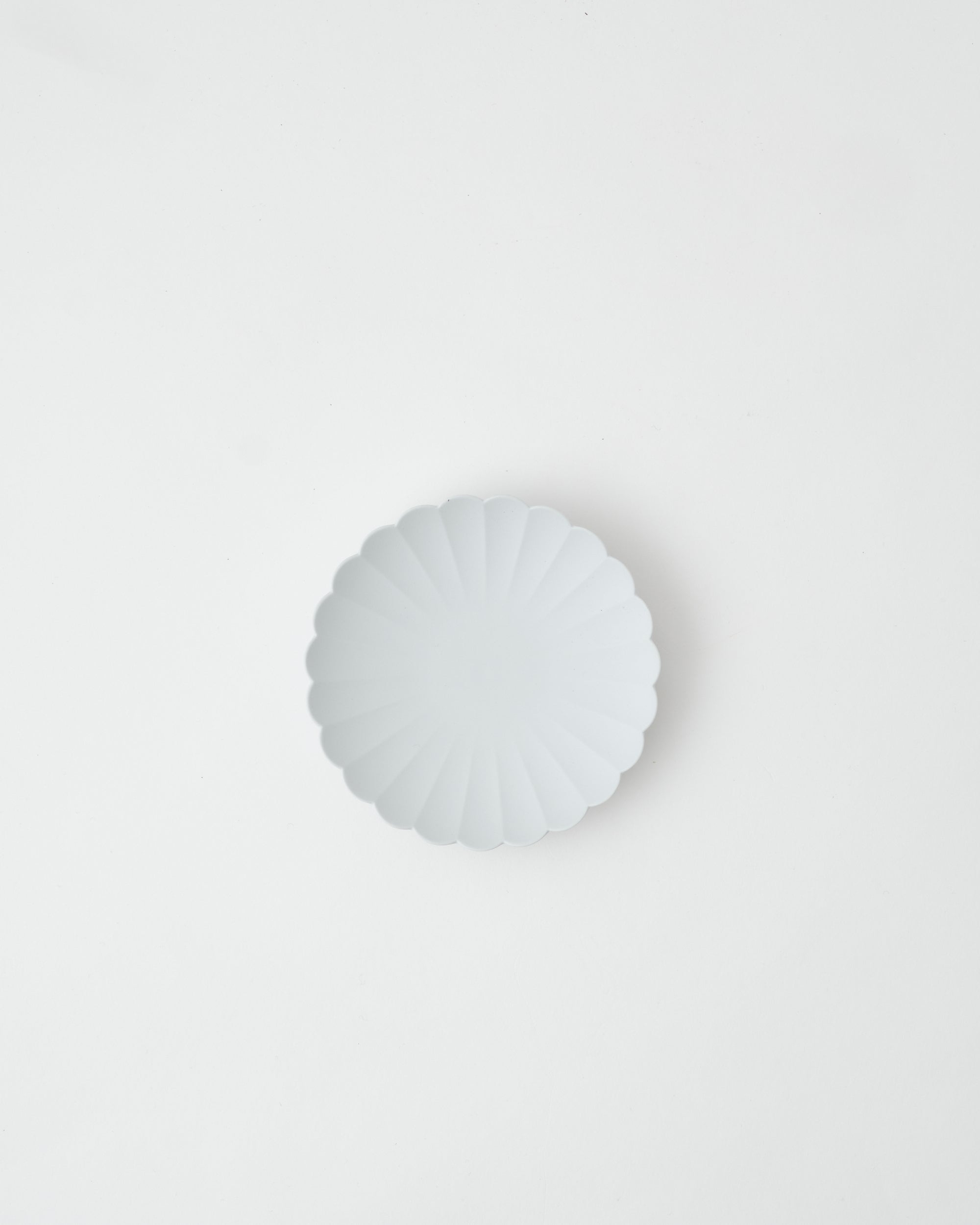 1616 / arita japan TY Standard Palace Plate