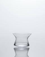 SPIN Glass