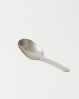 Stainless Steel Serving Scoop