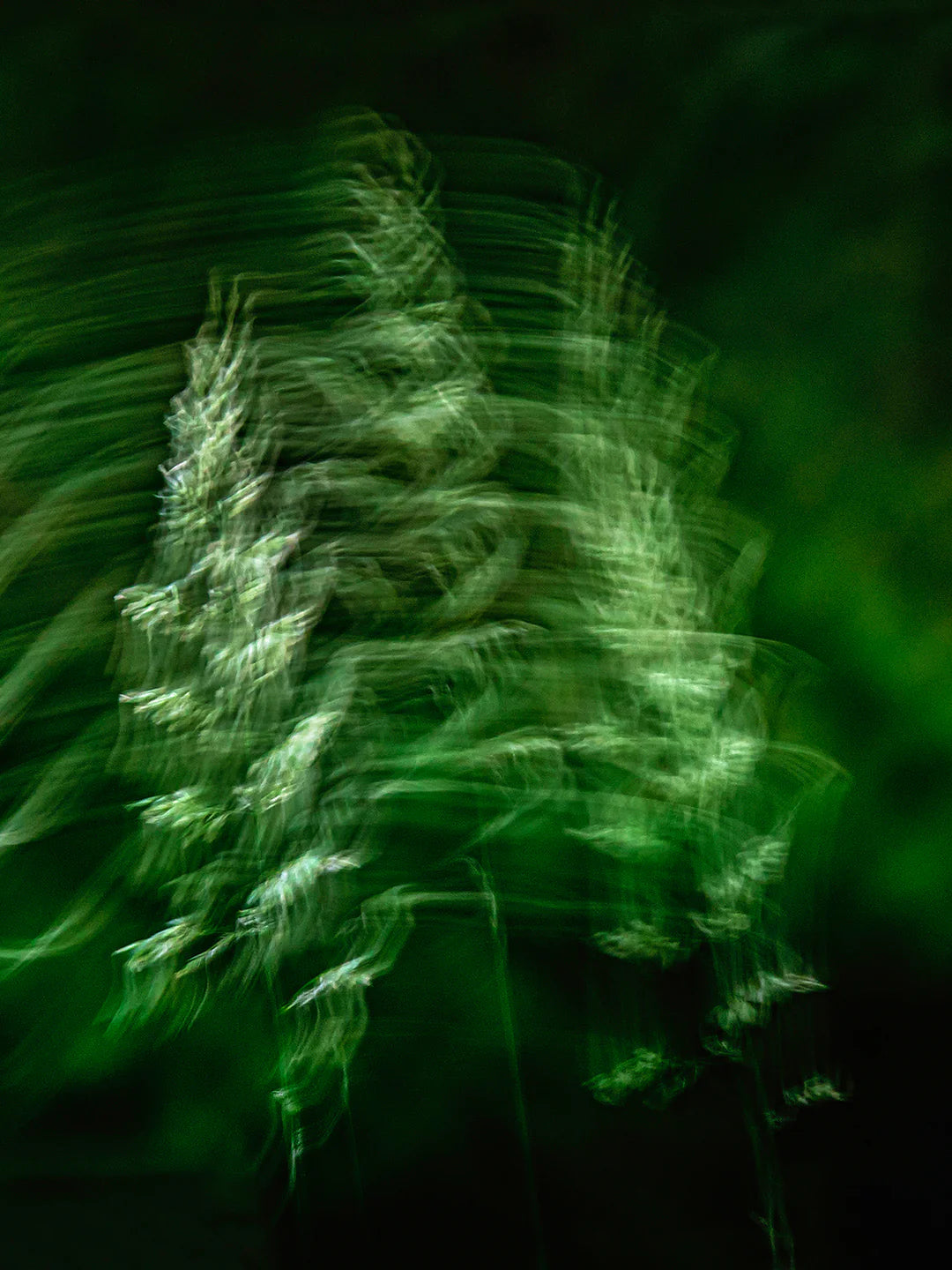 Scent_profile_green.webp