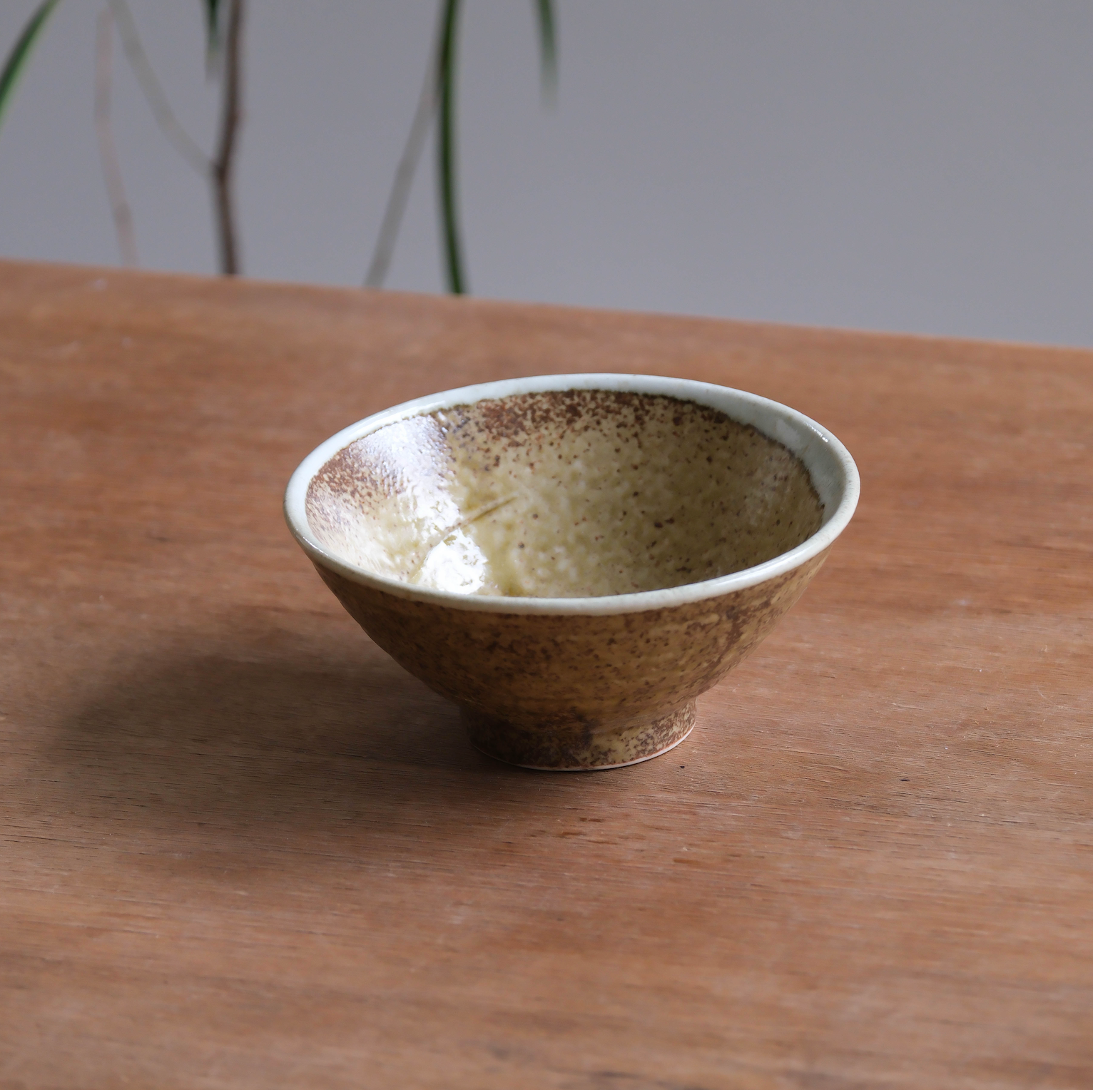 TOKIWA Japanese Donburi Bowl/Rice Bowl