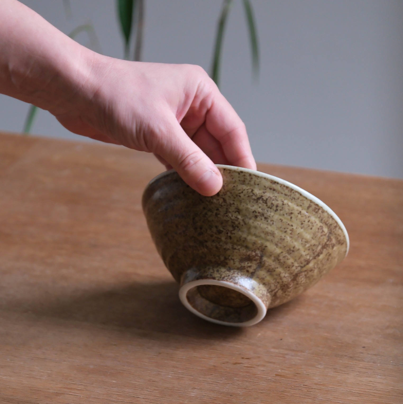 TOKIWA Japanese Donburi Bowl/Rice Bowl