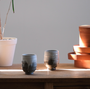 TOKIWA Japanese Ash-Glazed Teacup