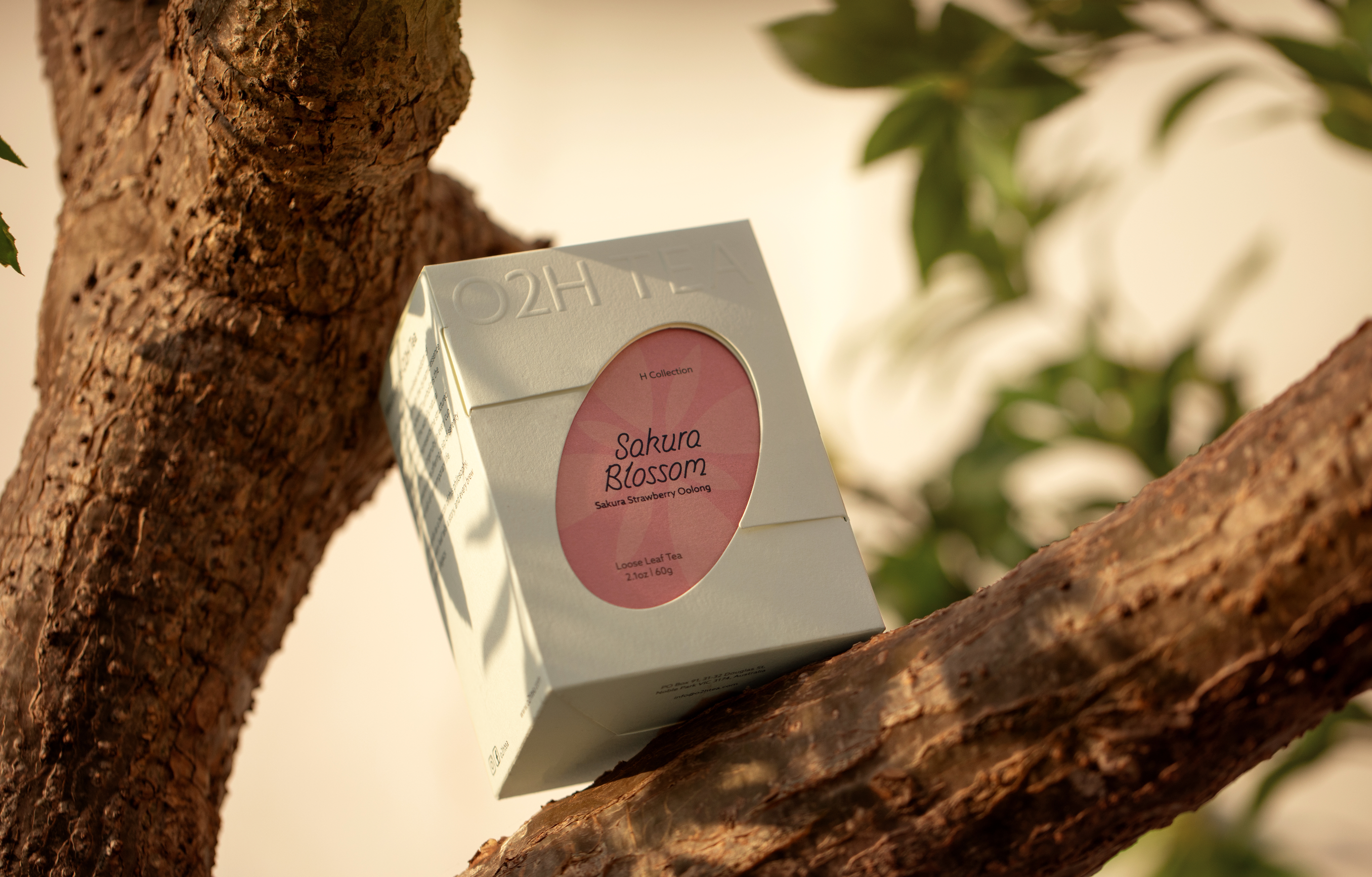 O2H TEA Sakura Blossom | Sakura Strawberry Oolong Tea