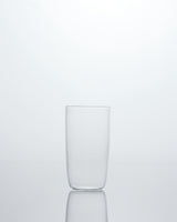 TG Daily Curve Daily Beer Glass