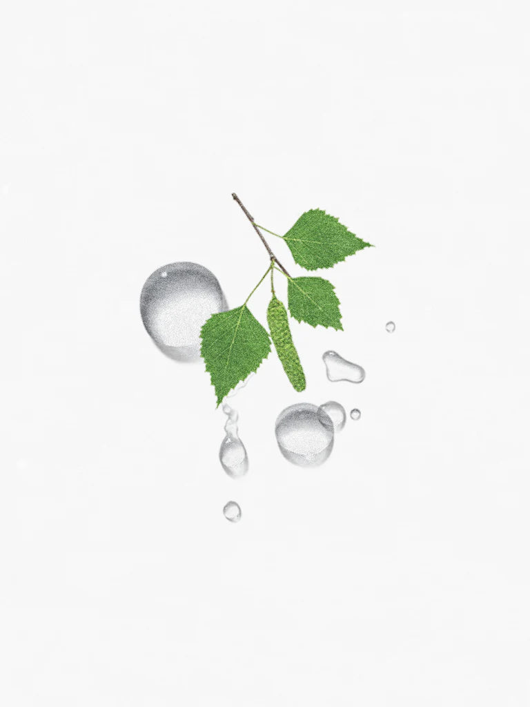Hetkinen Scented Candle Biofilia