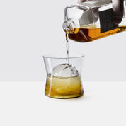 birthmark CORSET Glass