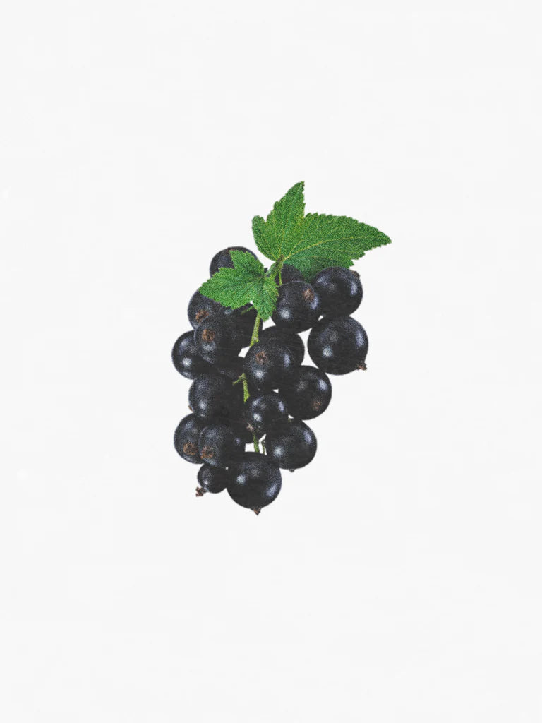Hetkinen Natural Body Oil Elderberry