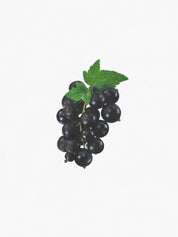 Hetkinen Natural Body Oil Elderberry