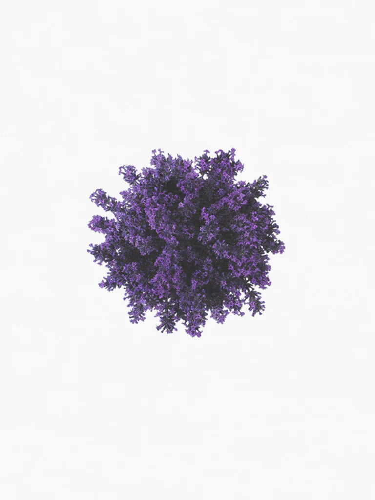 Hetkinen Scent Diffuser Ikigai 100ml&200ml