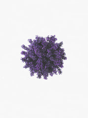 Hetkinen Scent Diffuser Ikigai 100ml&200ml