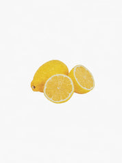 Hetkinen Scented Candle Biofilia
