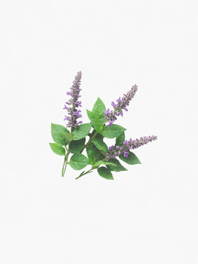 Hetkinen Eau de Parfum - Chaos 30ml