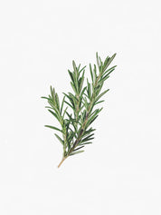Hetkinen Natural Body Oil Pine