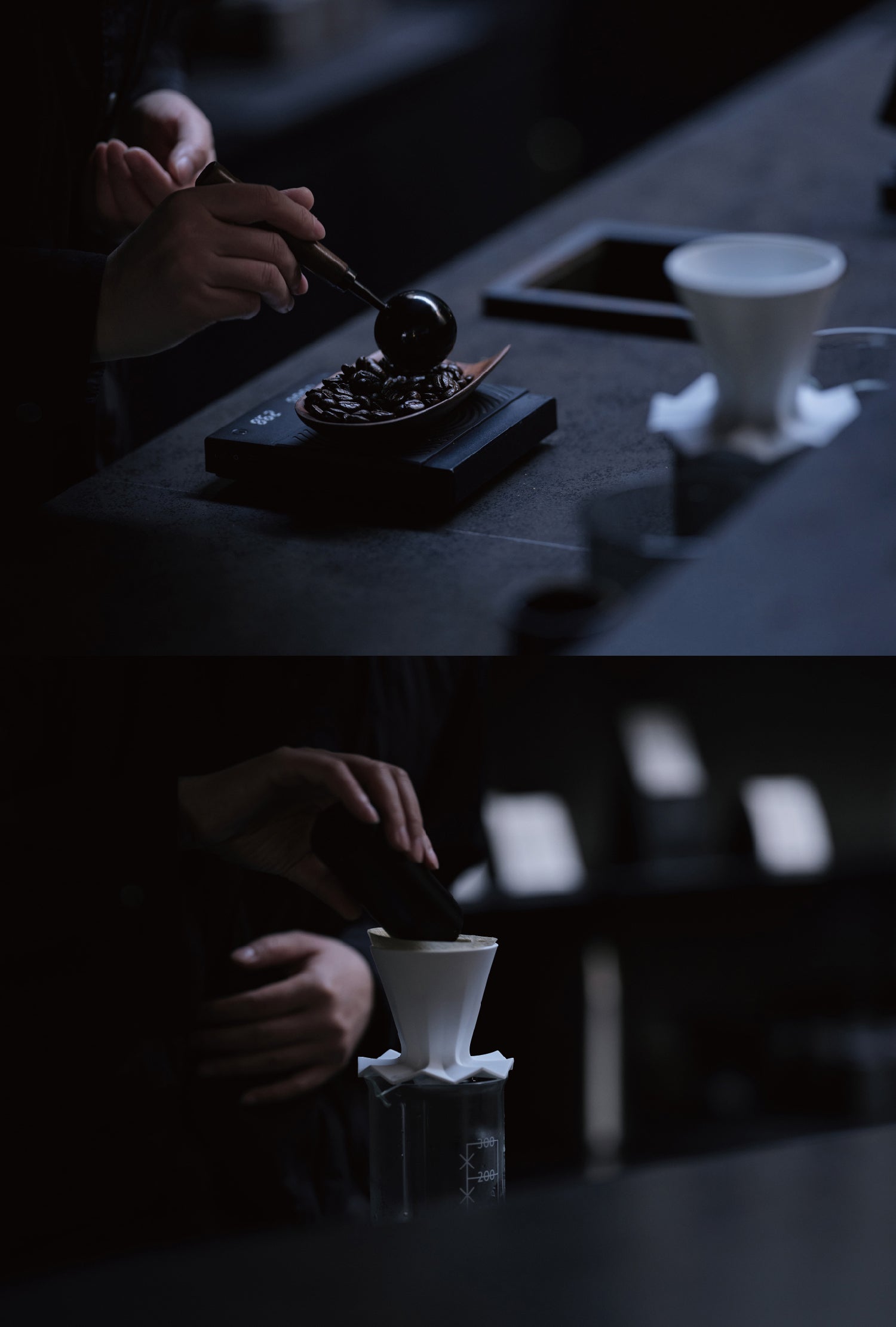 birthmark Octo Coffee Dripper