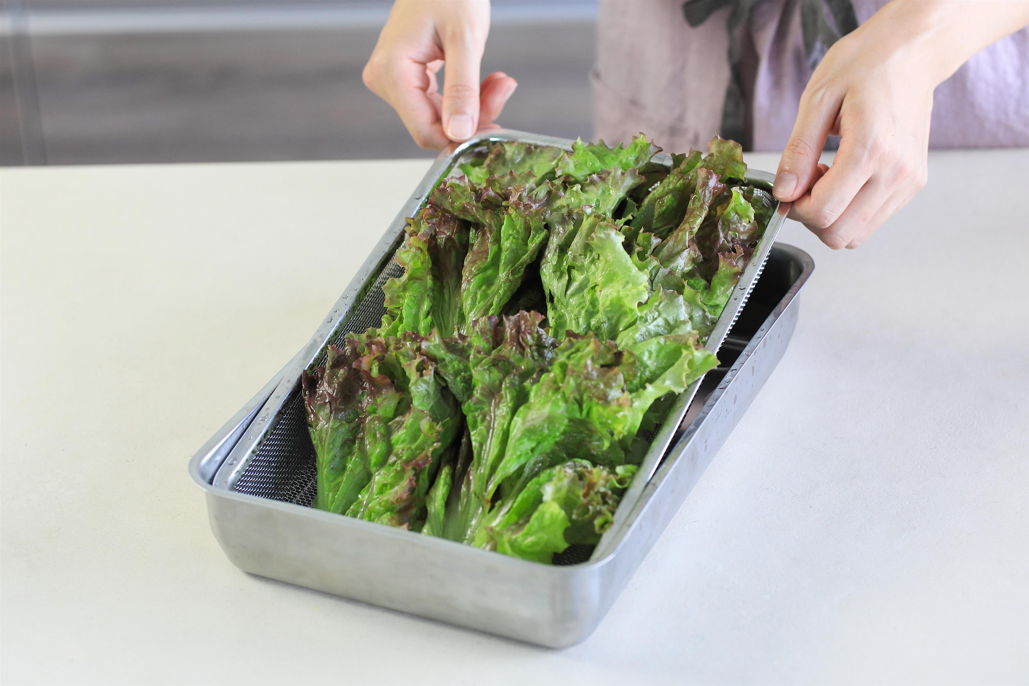 KAJIdonya Stainless Steel Cooking Tray Set (1/1 Size)