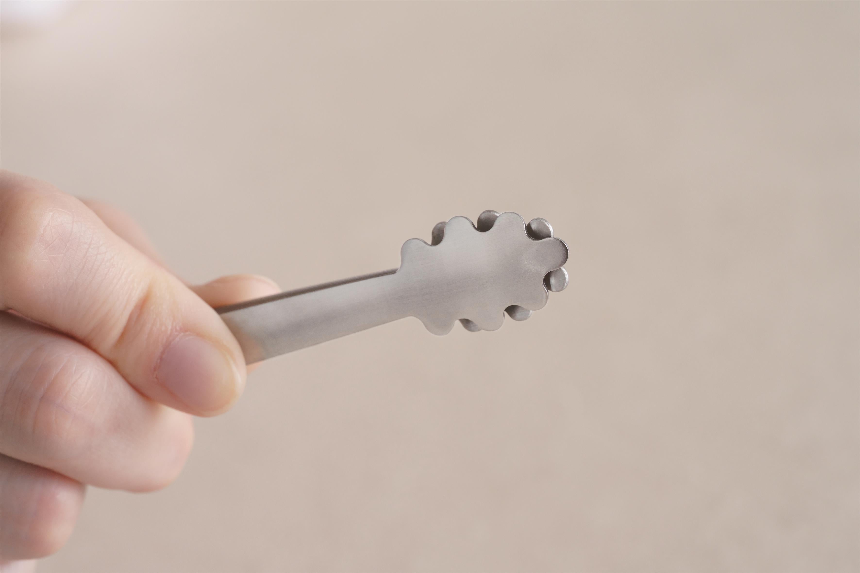 KAJIdonya Stainless Steel Condiment Tongs