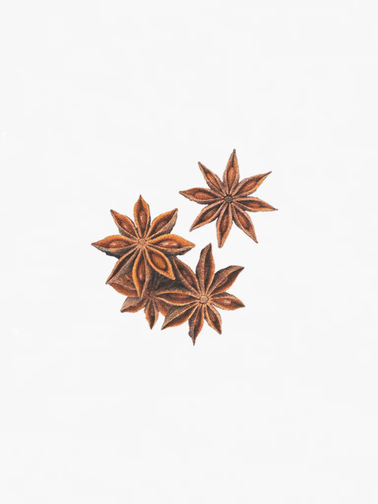 Hetkinen Scent Diffuser Shinrin Yoku 100ml&200ml