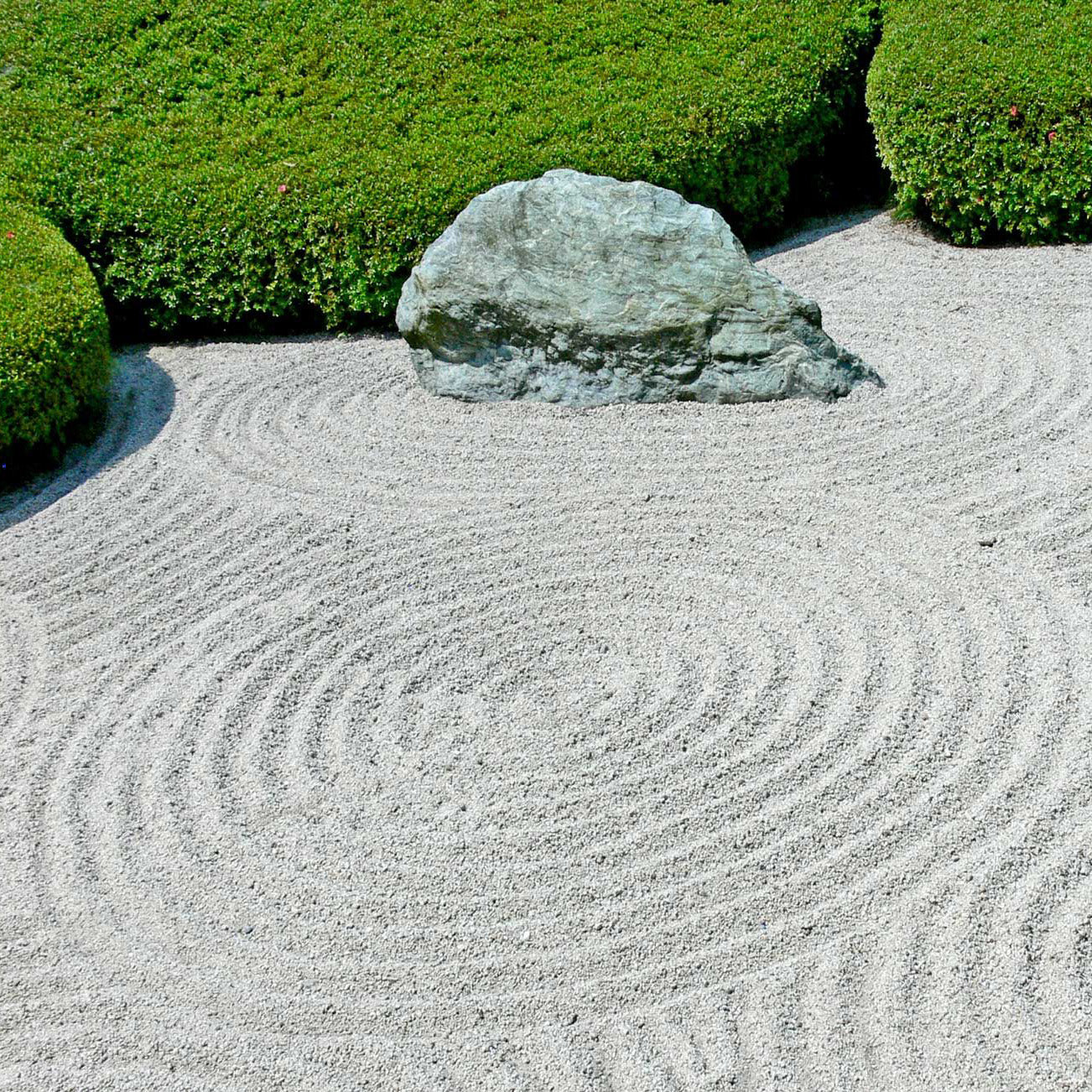 Cekitay Zen Garden Cup and Saucer - White Sand