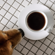 birthmark Earlobe Cup & Saucer Set