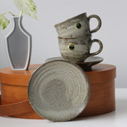 SHIGARAKI Ware Coffee Cup and Saucer