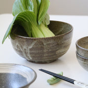 HECHIMON Shigaraki Ash Brush Rice Bowl