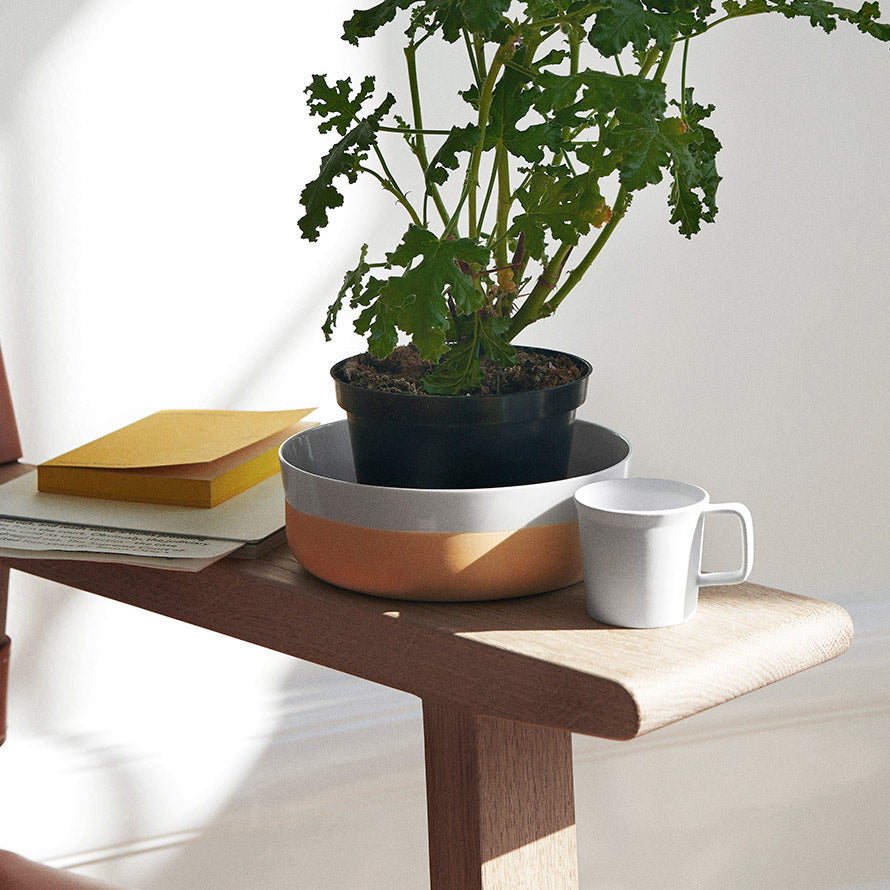 1616 / arita japan TY Standard Mug