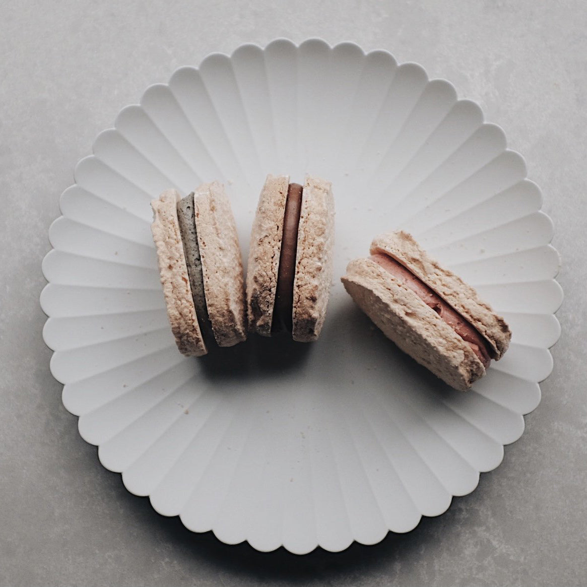 1616 / arita japan TY Standard Palace Plate