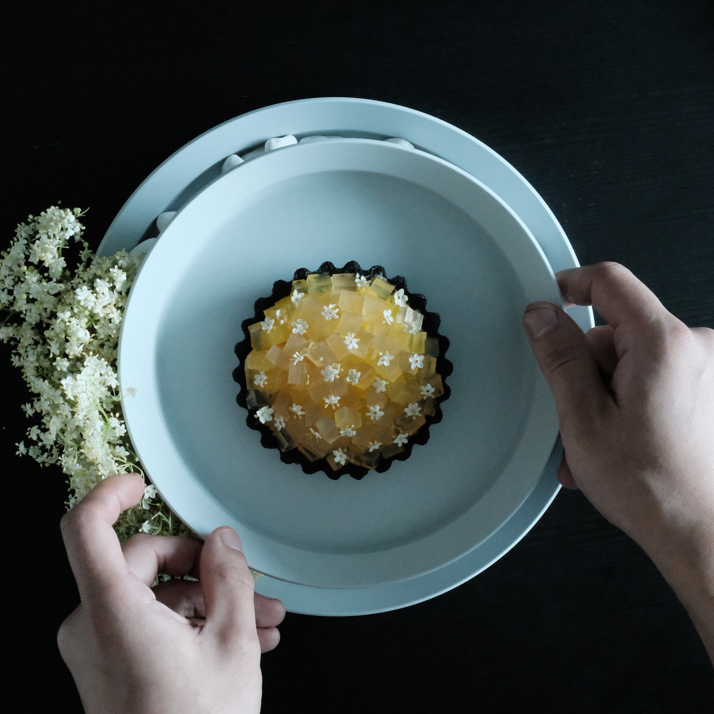 1616 / arita japan TY Standard Round Deep Plate