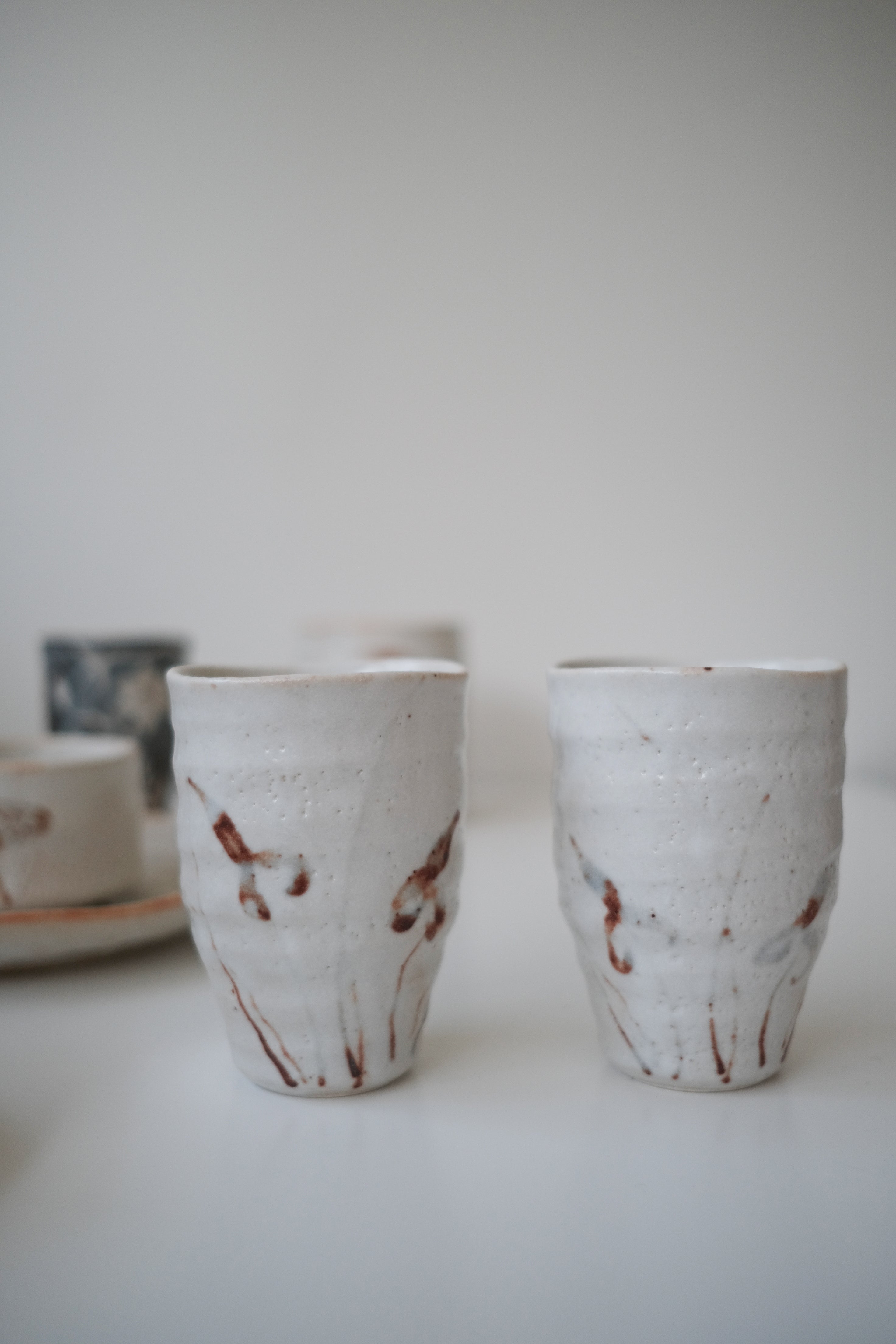 Shino Tumbler - White Waterweed