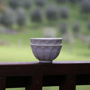 Kohyo Kaneko Rinka Series