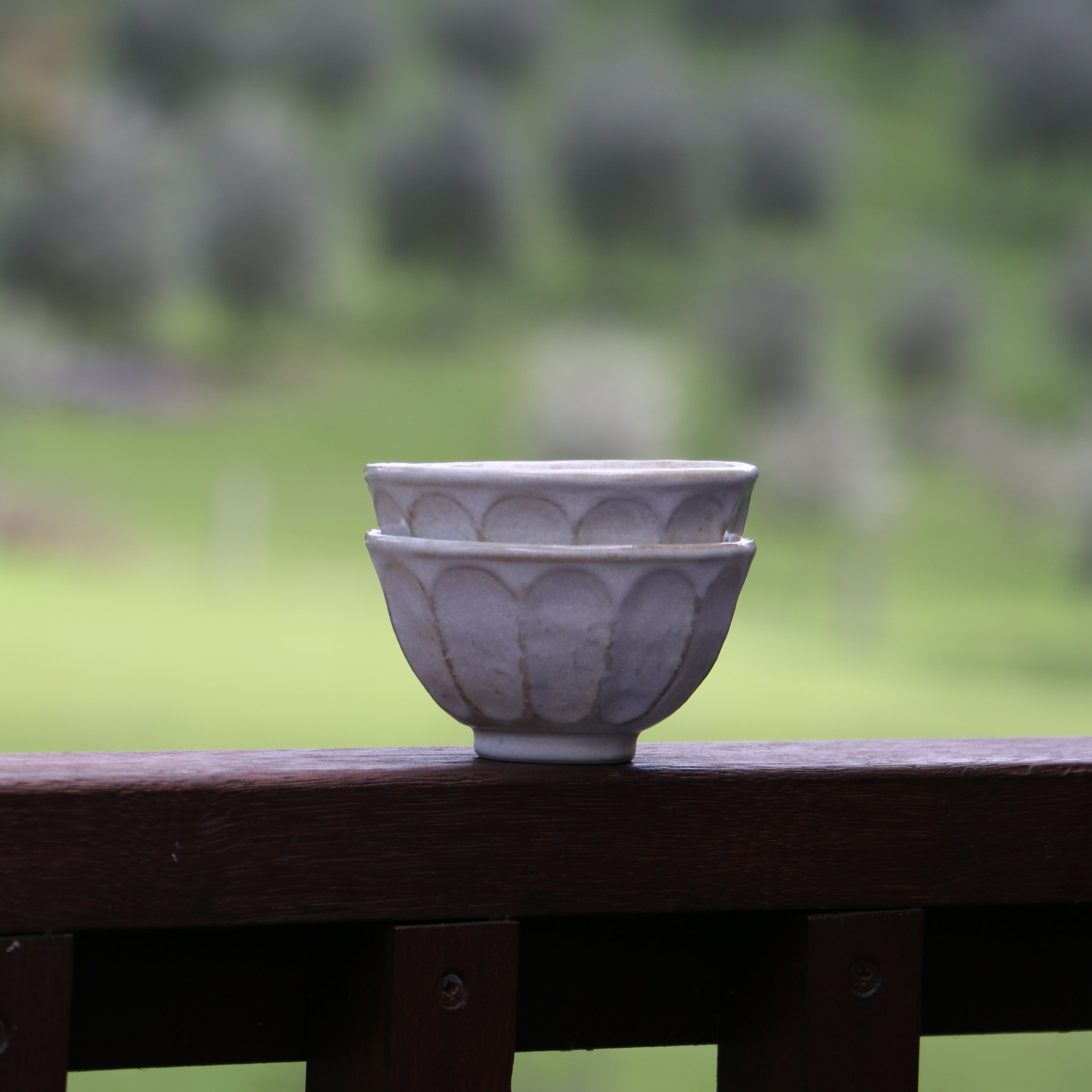 Kohyo Kaneko Rinka Series