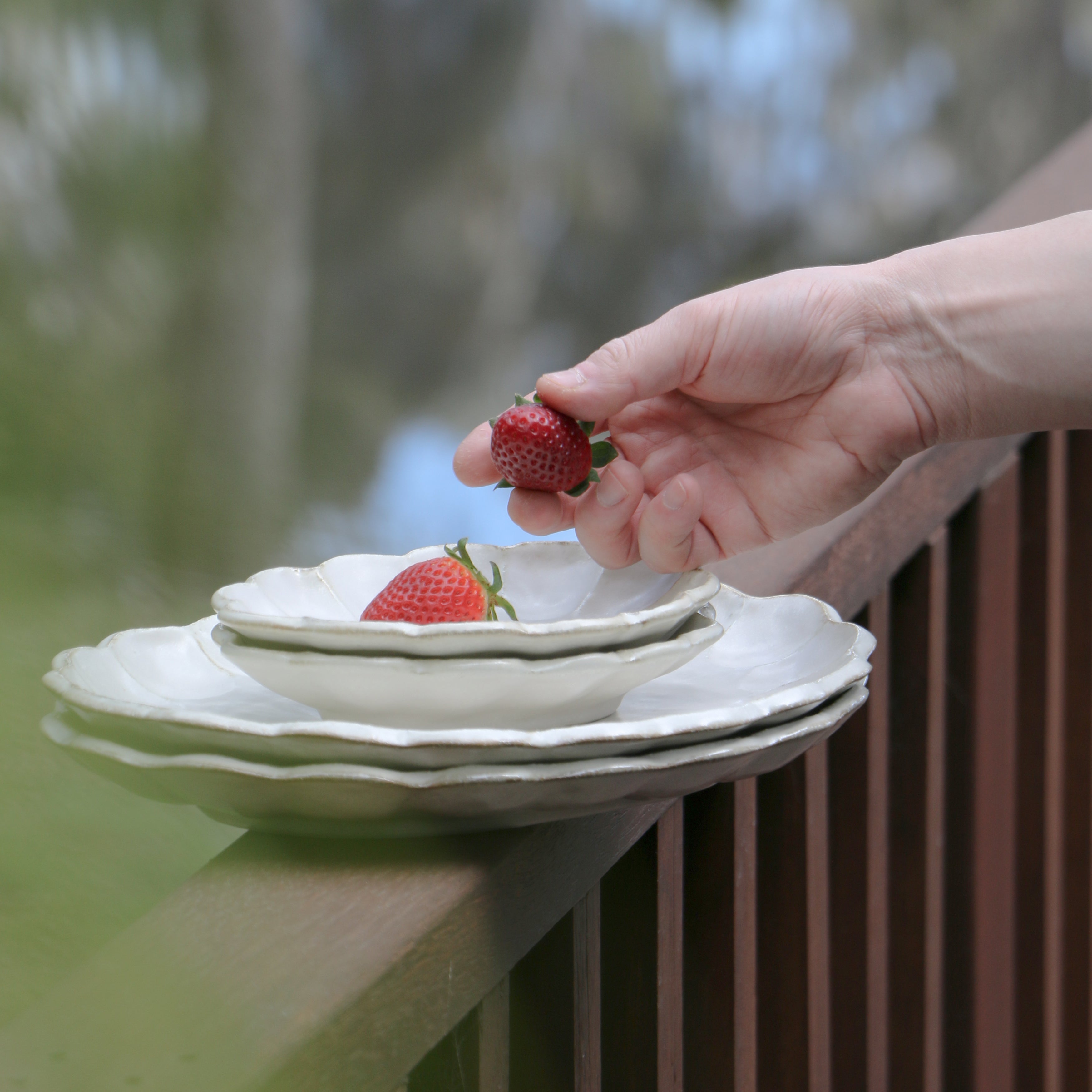 Kohyo Kaneko Rinka Series